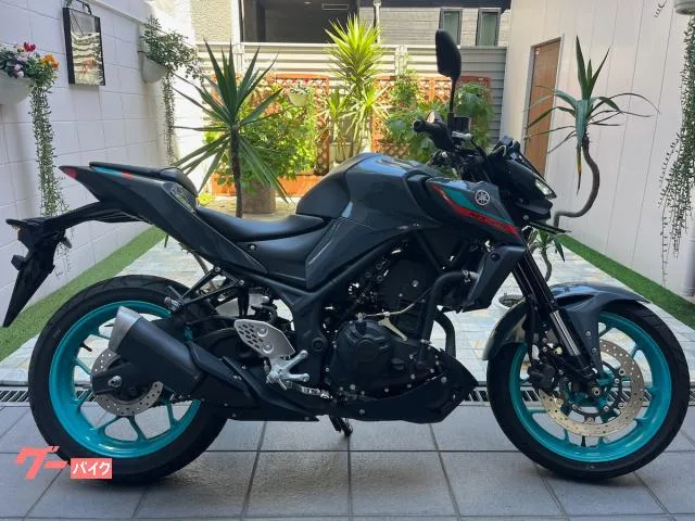 Yamaha MT-25 ETC 2022 2022 — фото 1, купить с доставкой в Москву