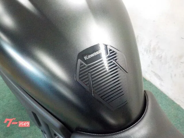 Kawasaki 400 2024 ETC2.0 2023 — миниатюра 2