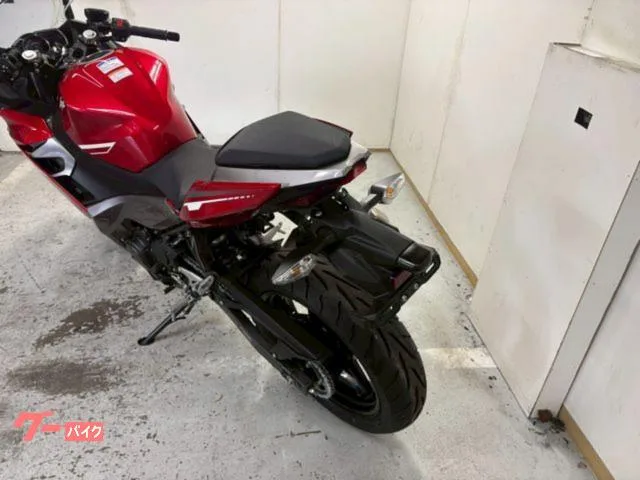 Kawasaki Ninja 250 2022 — миниатюра 2