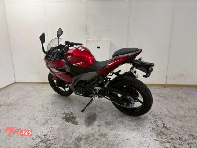 Kawasaki Ninja 250 2022 — миниатюра 3