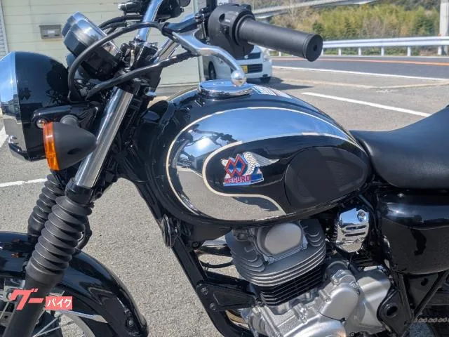Kawasaki S1 2025 — миниатюра 3