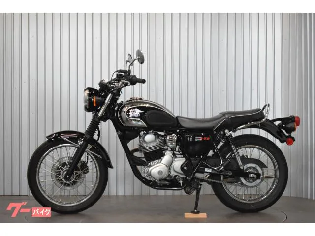 Kawasaki S1 / 2025 — миниатюра 5