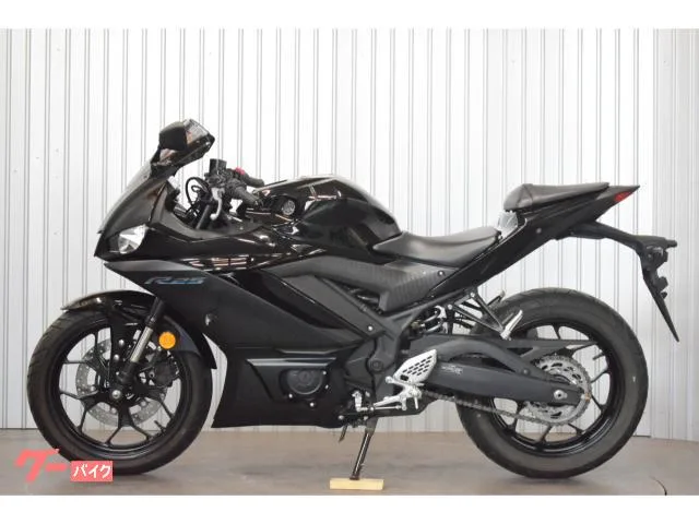 Yamaha YZF-R25 2023 — миниатюра 2