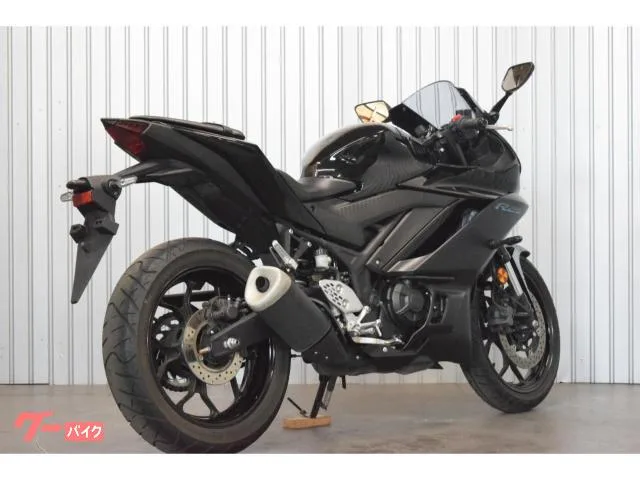 Yamaha YZF-R25 2023 — миниатюра 3