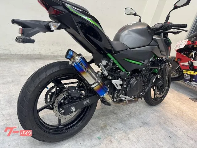 Kawasaki Z250 2024 — миниатюра 2