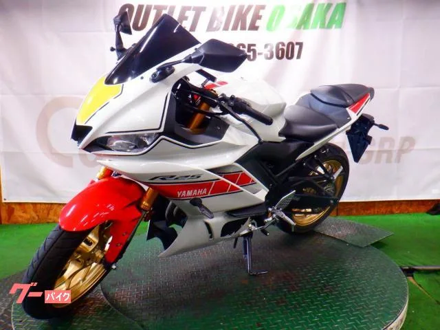 Yamaha YZF-R25 250 2022 — миниатюра 2
