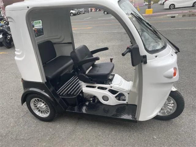 Trike (51125cc)AP125 2026 — фото 1, купить с доставкой в Москву