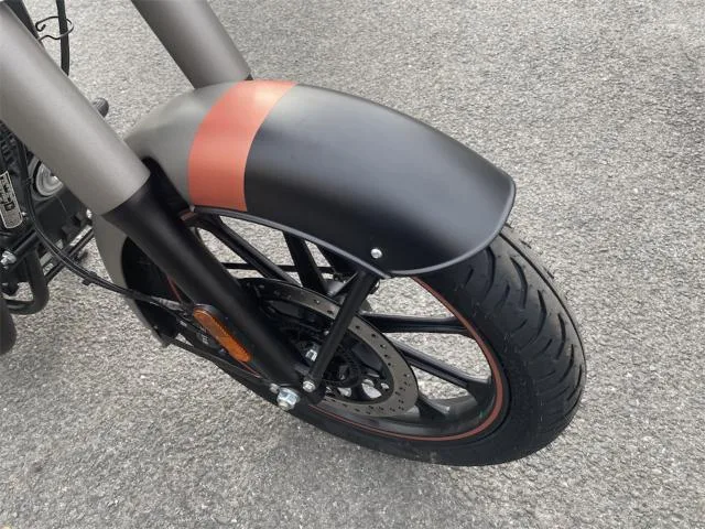 ROYAL ENFIELD 350 2025 — миниатюра 3