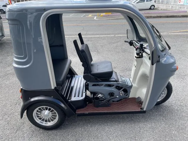 Trike (126250cc) 5 2025 — фото 1, купить с доставкой в Москву