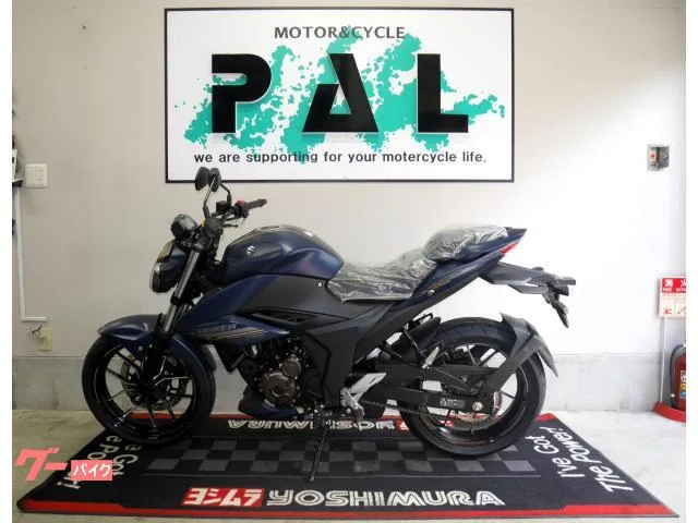 Suzuki GIXXER 250 SEP 2024 — фото 1, купить с доставкой в Москву