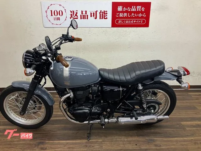Kawasaki W800 USB2 2023 — миниатюра 5