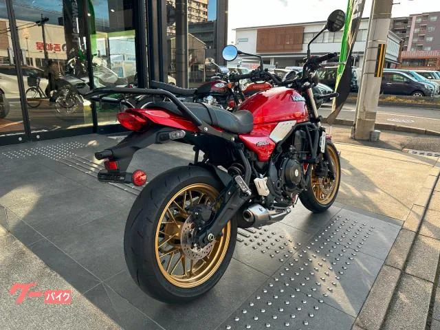 Kawasaki Z650RS 2024 — миниатюра 4