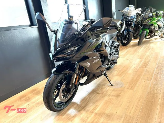 Kawasaki Ninja 1100 SX USBABSETC2.0 2026 — миниатюра 2