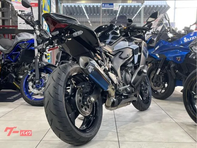 Kawasaki Ninja ZX-4R SE ETC 2026 — миниатюра 3
