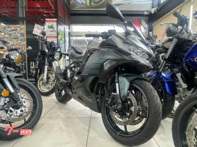 Kawasaki Ninja ZX-4R SE 2025 — миниатюра 3