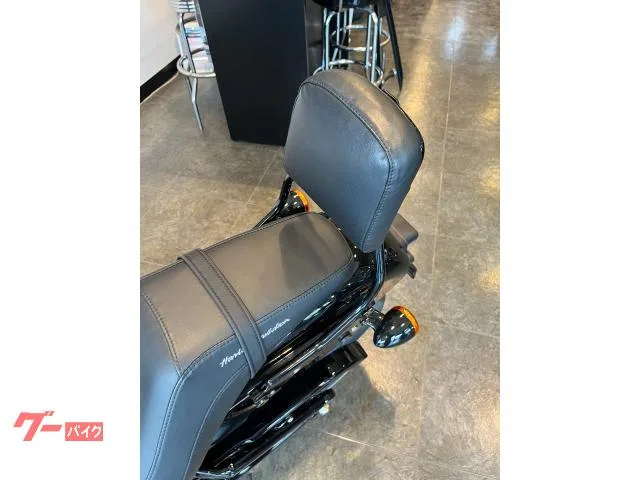 HARLEY-DAVIDSON FXBBS 114 2022 — миниатюра 2