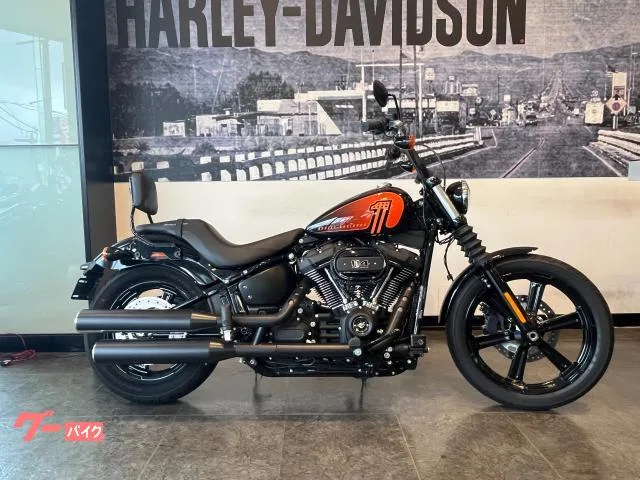 HARLEY-DAVIDSON FXBBS 114 2022 — фото 1, купить с доставкой в Москву