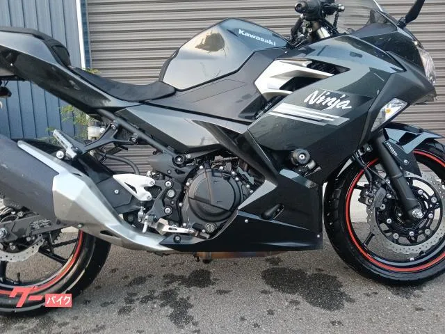 Kawasaki Ninja 250 2022 — миниатюра 2