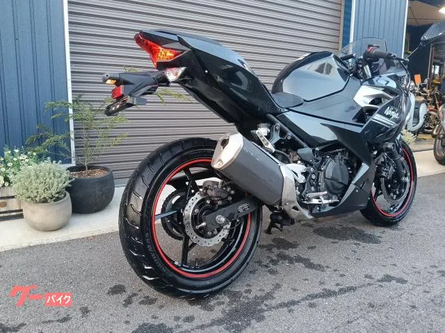 Kawasaki Ninja 250 2022 — миниатюра 3