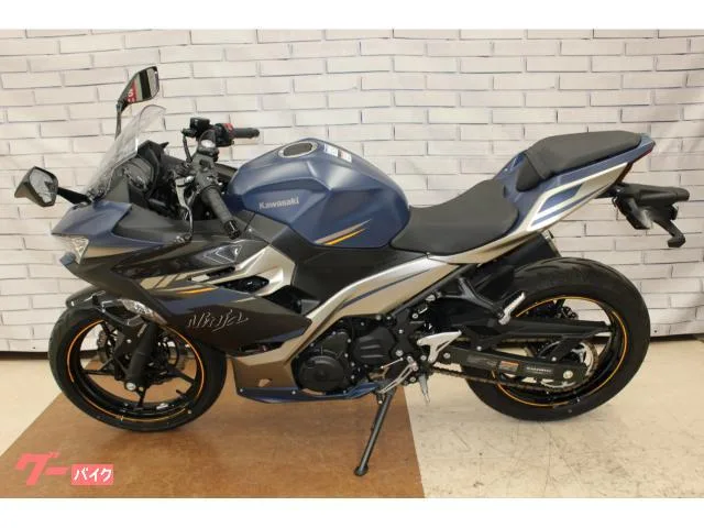 Kawasaki Ninja 250 2023 — миниатюра 2