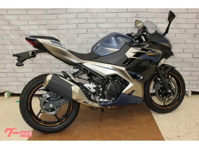 Kawasaki Ninja 250 2023 — миниатюра 3