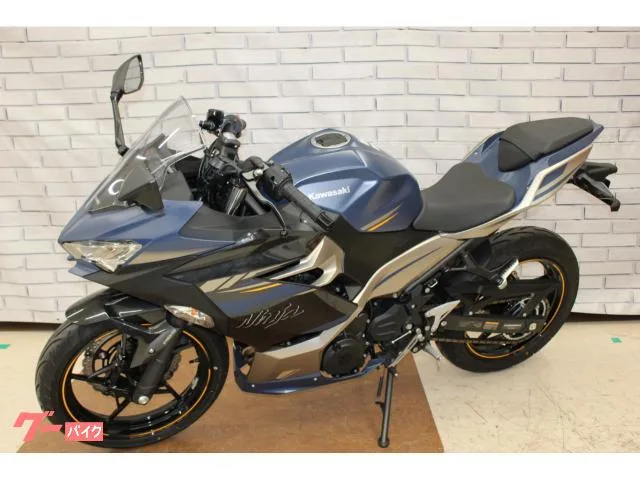 Kawasaki Ninja 250 2023 — миниатюра 4