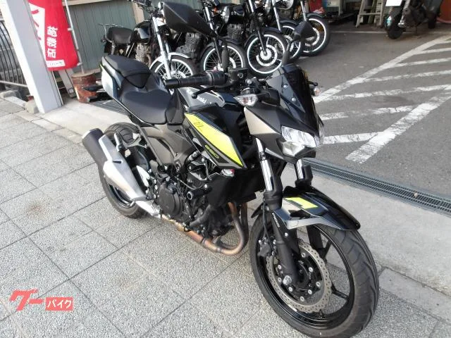 Kawasaki Z250 ABS 2 2022 — миниатюра 2