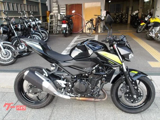 Kawasaki Z250 ABS 2 2022 — фото 1, купить с доставкой в Москву