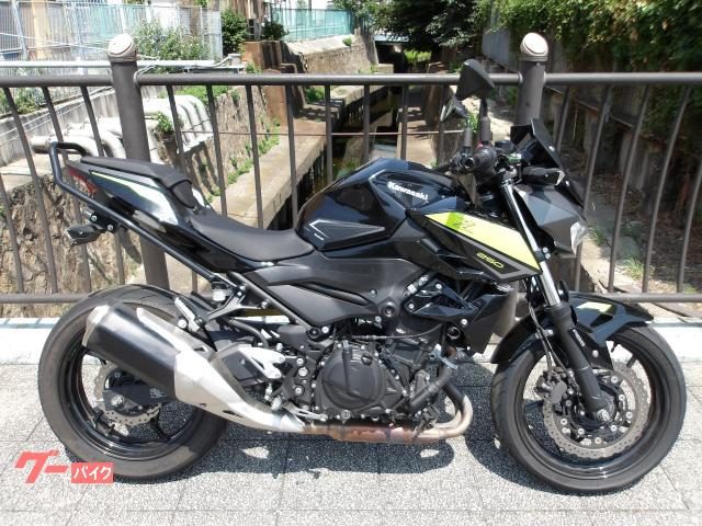 Kawasaki Z250 2022