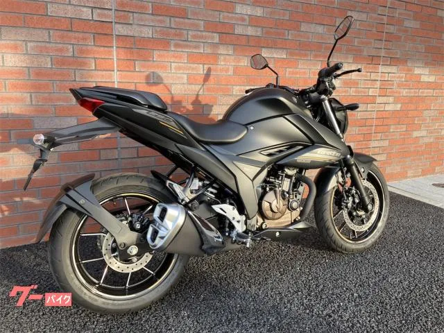 Suzuki GIXXER 250 2023 — миниатюра 3