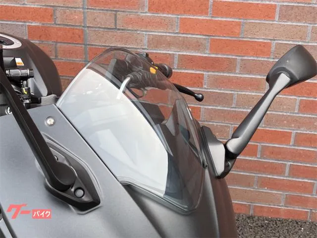 Suzuki GIXXER SF 250 R-77S 2023 — миниатюра 2