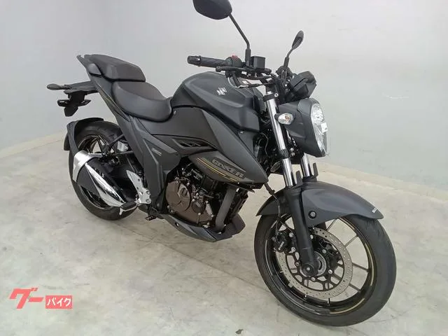 Suzuki GIXXER 250 2023 — миниатюра 5