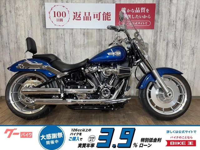 HARLEY-DAVIDSON FLFBS 114CC 2022 — фото 1, купить с доставкой в Москву