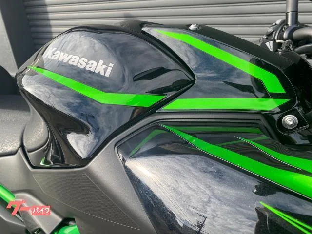 Kawasaki Z650 ETC2.0 2025 — миниатюра 2