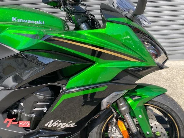 Kawasaki Ninja 1100 SX SE 2025 ETC2.0 2025 — миниатюра 4