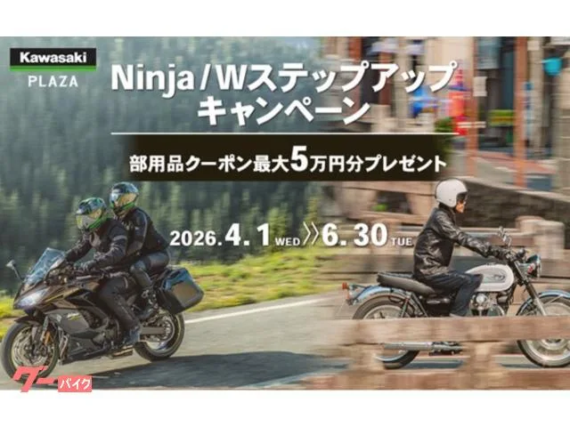 Kawasaki Ninja 1100 SX 2025 ETC2.0 2025 — миниатюра 2