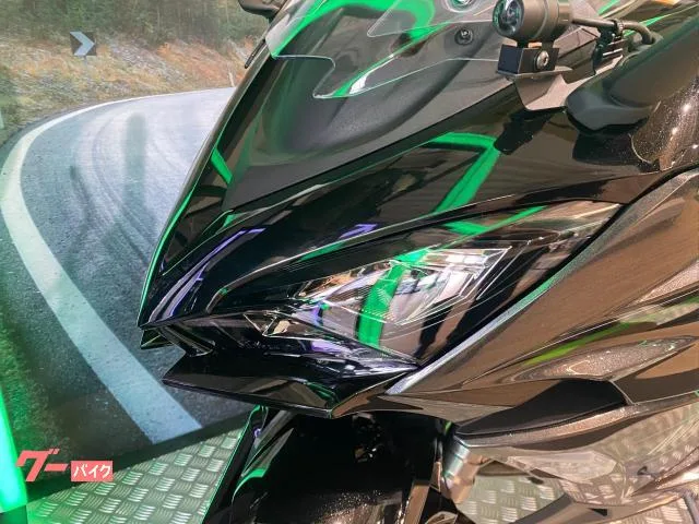 Kawasaki Ninja 1100 SX 2025 ETC2.0 2025 — миниатюра 3