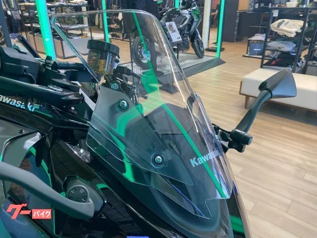 Kawasaki Ninja 1100 SX 2025 ETC2.0 2025 — миниатюра 4