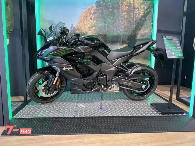 Kawasaki Ninja 1100 SX 2025 ETC2.0 2025 — фото 1, купить с доставкой в Москву