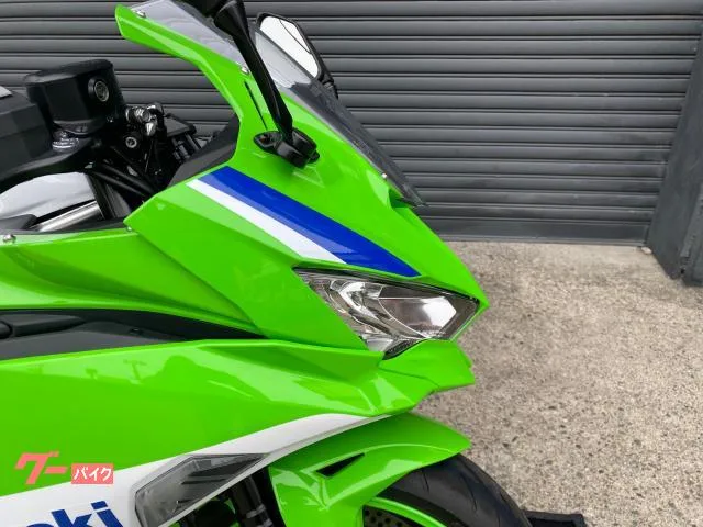 Kawasaki Ninja ZX-4RR 40th Anniversary Edition 40 2024 — миниатюра 4