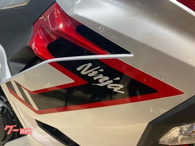 Kawasaki Ninja 250 2026 ABS LED 2026 — миниатюра 4
