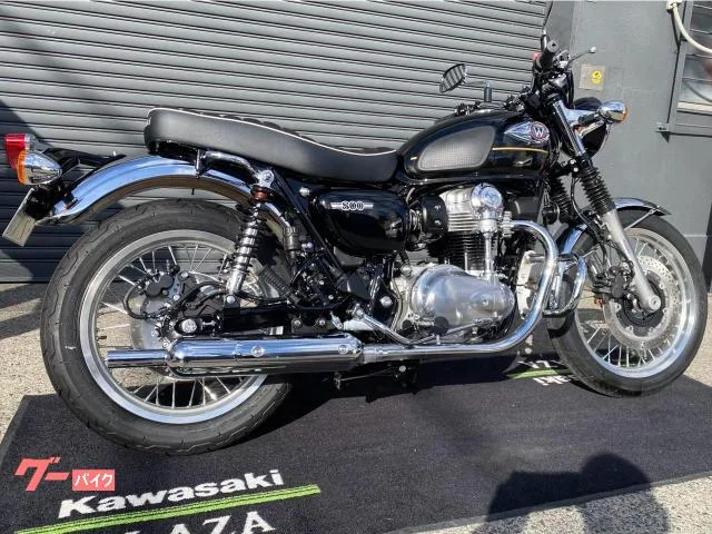 Kawasaki W800 ETC2.0 ABS 2025 — миниатюра 3