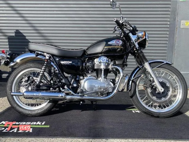 Kawasaki W800 ETC2.0 ABS 2025 — фото 1, купить с доставкой в Москву
