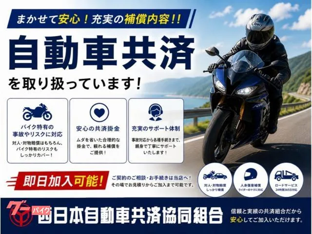 Suzuki GIXXER 250 ETC MSC-BE61 2 2023 — миниатюра 3