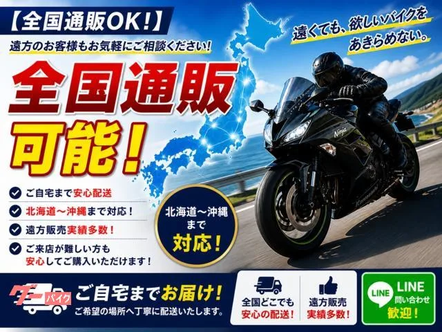 Suzuki GIXXER 250 ETC MSC-BE61 2 2023 — миниатюра 4