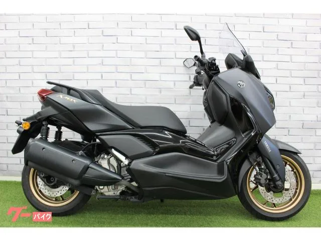 Yamaha X-MAX250 2023 — фото 1, купить с доставкой в Москву
