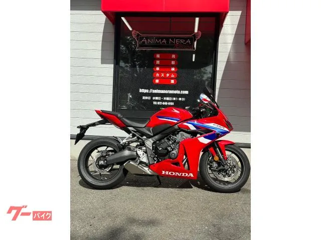 Honda CBR650R E-Clutch 4 ABS LED ETC 2024 — фото 1, купить с доставкой в Москву