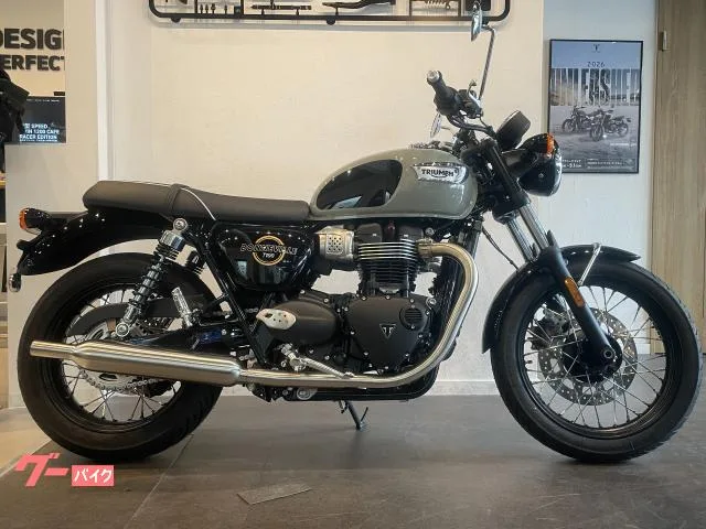 TRIUMPH T100 MY2026 2026 — миниатюра 2