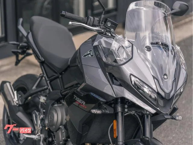 TRIUMPH 800 / 2025 — миниатюра 2