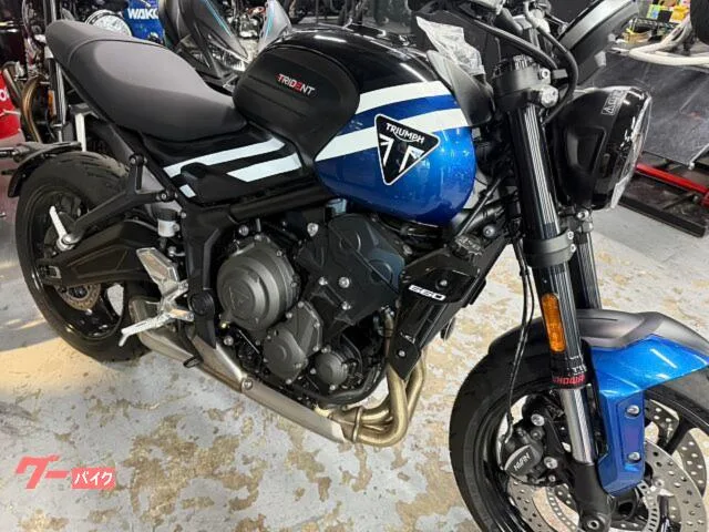 TRIUMPH 660 / 2025 — миниатюра 2
